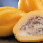 Buah Langka dari Wonosobo Memiliki Manfaat bagi Kesehatan? Cek Disini