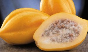 Buah Langka dari Wonosobo Memiliki Manfaat bagi Kesehatan? Cek Disini