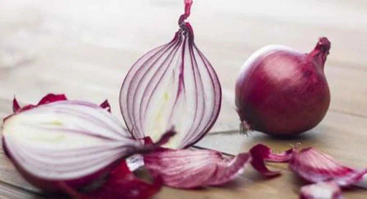 5 Manfaat Bawang Merah bagi Kesehatan