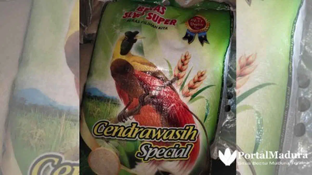 Kabar Beras Plastik Mengemuka di Indonesia Sejak 2015 dan Sempat Ramai di Tiga Negara Afrika