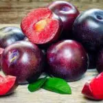 Ini Manfaat dan Efek Samping Buah Plum