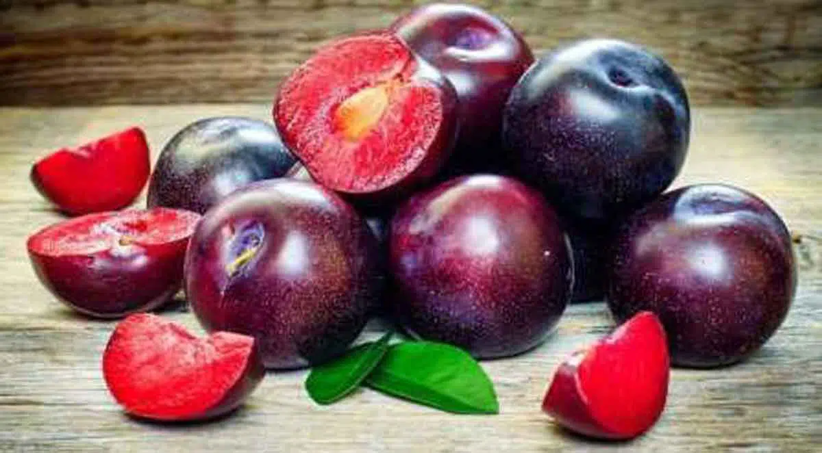 Ini Manfaat dan Efek Samping Buah Plum