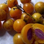 Buah Ramania Memiliki Banyak Manfaat bagi Kesehatan? Cek Disini
