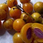 Buah Ramania Memiliki Banyak Manfaat bagi Kesehatan? Cek Disini