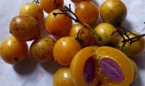 Buah Ramania Memiliki Banyak Manfaat bagi Kesehatan? Cek Disini