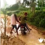 Warga Tanami Pohon Pisang di Jalan Berlumpur