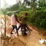 Warga Tanami Pohon Pisang di Jalan Berlumpur