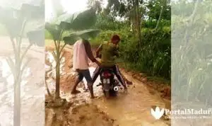 Warga Tanami Pohon Pisang di Jalan Berlumpur