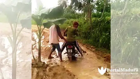 Warga Tanami Pohon Pisang di Jalan Berlumpur