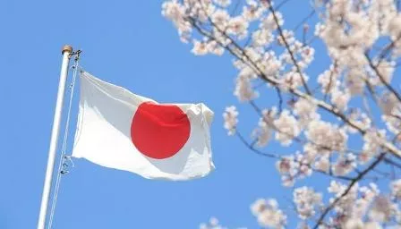 Jepang Minta Bantuan Interpol Untuk Menangkap Istri Mantan Bos Nissan