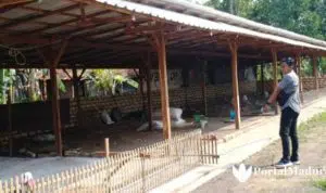 Warga Keluhkan Kandang Bebek di Tengah Permukiman Padat Penduduk