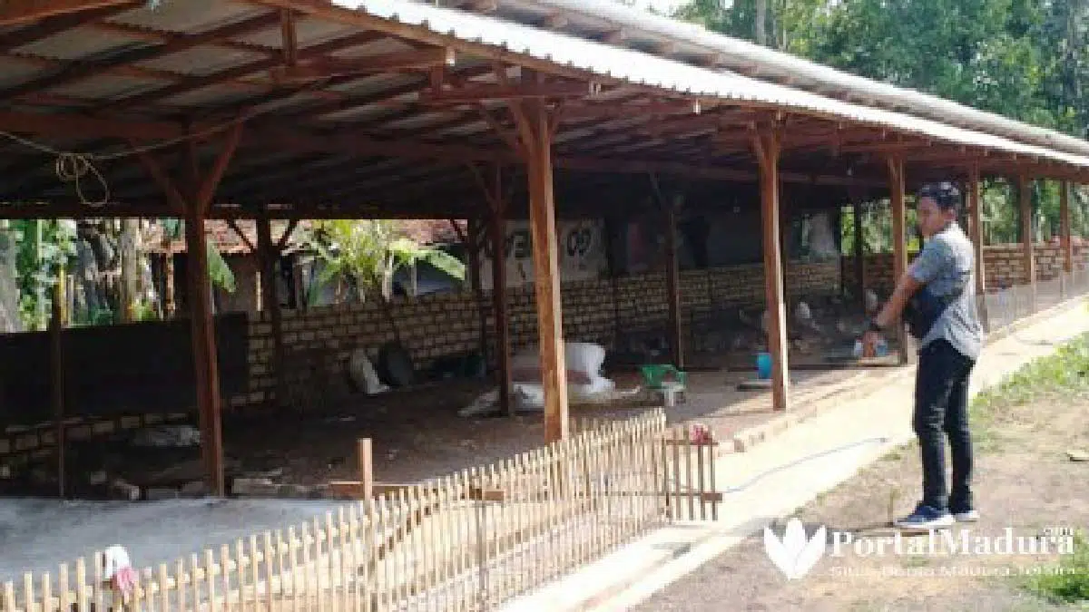 Warga Keluhkan Kandang Bebek di Tengah Permukiman Padat Penduduk