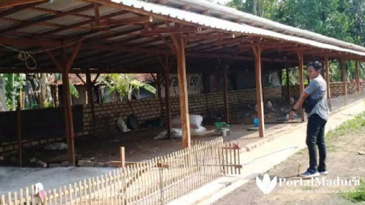 Warga Keluhkan Kandang Bebek di Tengah Permukiman Padat Penduduk