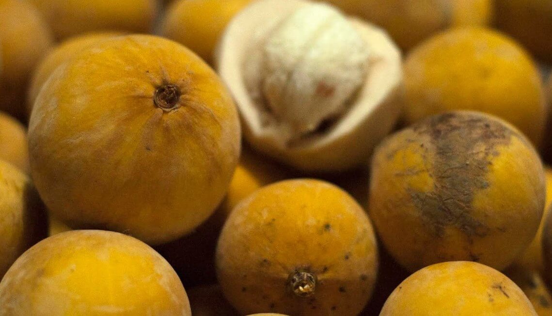 Khasiat Buah Kecapi