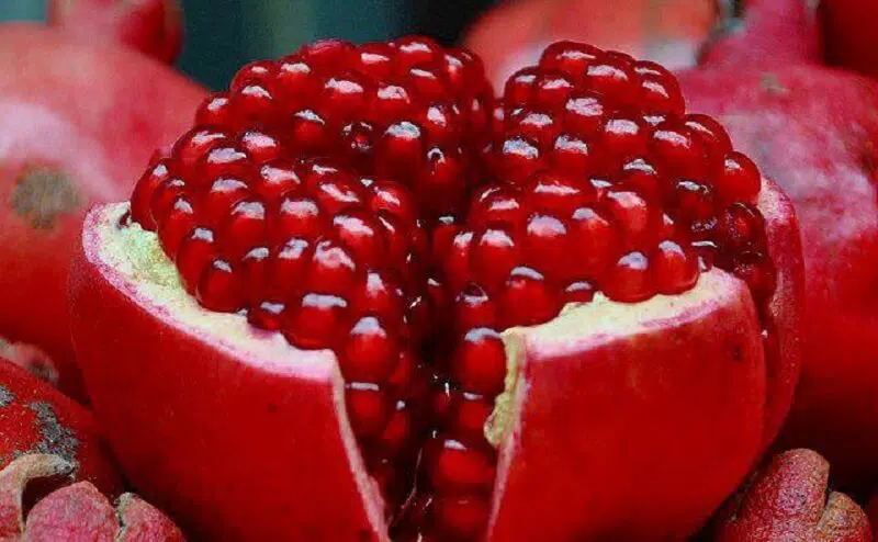 Manfaat Buah Delima bagi Kesehatan