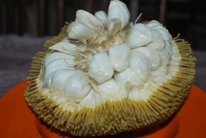 Manfaat Buah Tarap