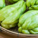 Terkuak 4 Khasiat Labu Siam untuk Kecantikan