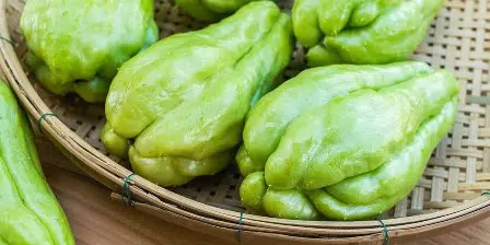 Terkuak 4 Khasiat Labu Siam untuk Kecantikan