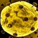 Virus Korona Masuk Eropa, 3 Warga Prancis Terjangkit