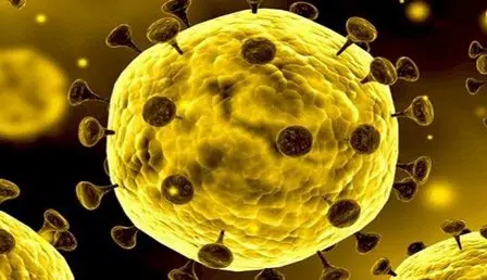 Virus Korona Masuk Eropa, 3 Warga Prancis Terjangkit