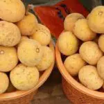 10 Manfaat Buah Kecapi yang Baik Bagi Kesehatan Anda