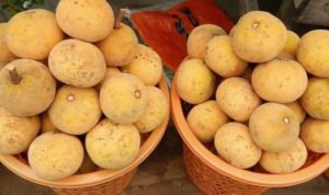 manfaat Buah Kecapi