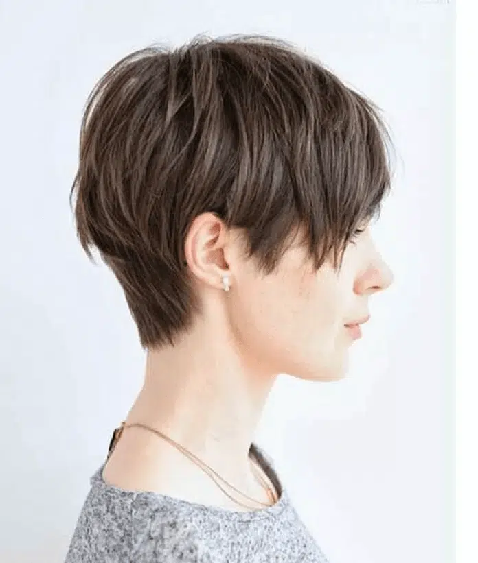 Mdoel Rambut Pixie Hair Cut