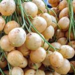 5 Manfaat Konsumsi Buah Rambai Bagi Kesehatan Tubuh