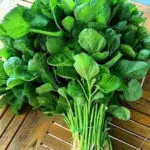 Manfaat Sayur Bayam bagi Kesehatan