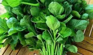 Manfaat Sayur Bayam bagi Kesehatan