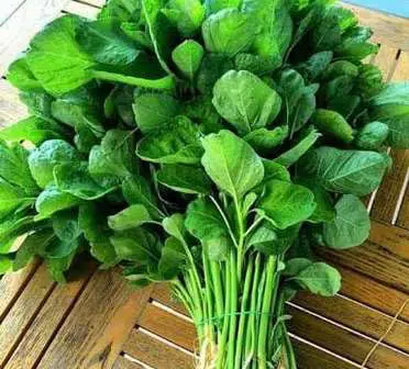 Manfaat Sayur Bayam bagi Kesehatan