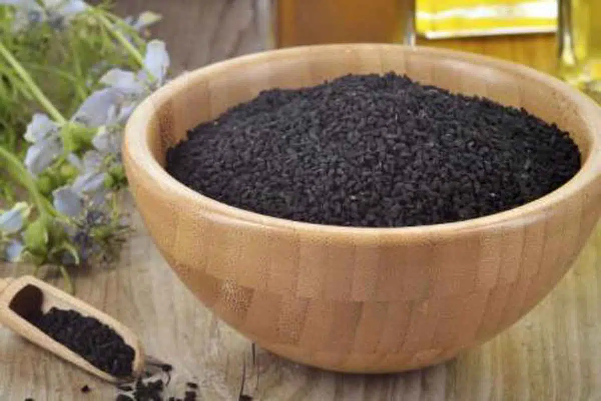3 Jenis Tanaman Obat Herbal Ini Disebutkan dalam Hadis Rasulullah