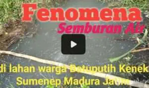 Fenomena Semburan Air di Ladang Pertanian Warga Batuputih Sumenep
