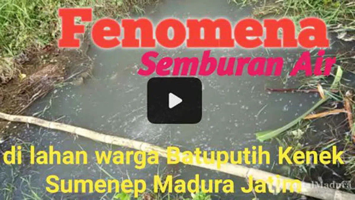 Fenomena Semburan Air di Ladang Pertanian Warga Batuputih Sumenep