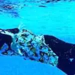Ini Hukum Muslimah Berenang di Kolam Umum