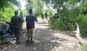 Tersiar Kabar TPA Mau Dibuka, Warga Kompak Blokir dengan Tebang Pohon