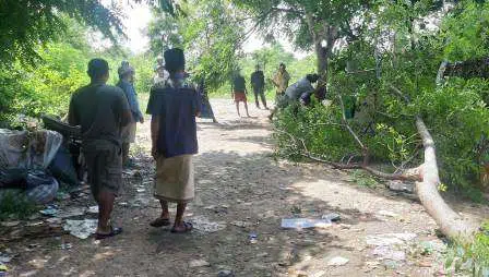Tersiar Kabar TPA Mau Dibuka, Warga Kompak Blokir dengan Tebang Pohon