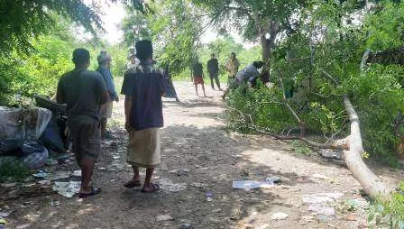 Tersiar Kabar TPA Mau Dibuka, Warga Kompak Blokir dengan Tebang Pohon