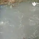 Gelembung Air di Batuputih Sumenep Mirip di Sragen & Ambon, Ini Penyebabnya