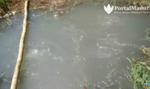 Gelembung Air di Batuputih Sumenep Mirip di Sragen & Ambon, Ini Penyebabnya