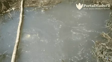 Gelembung Air di Batuputih Sumenep Mirip di Sragen & Ambon, Ini Penyebabnya