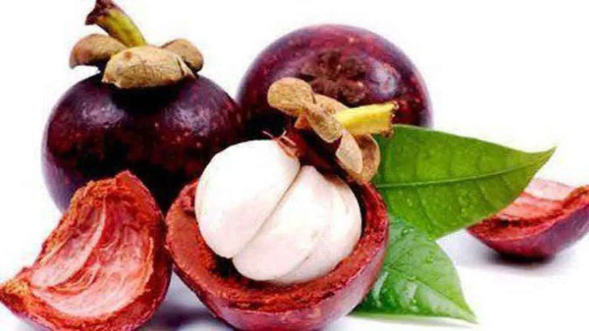 3 Manfaat Luar Biasa Buah Manggis untuk Kecantikan
