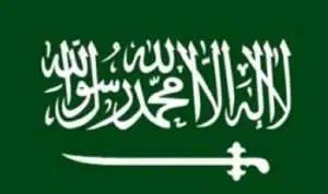 Arab Saudi Blokir Akses ke Portal Berita Turki