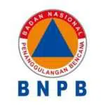 BNPB Perpanjang Masa Darurat Covid-19 hingga 29 Mei 2020