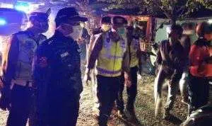 Mokong Nongkrong di Cafe, Puluhan Warga Madura Digelandang Petugas Gabungan