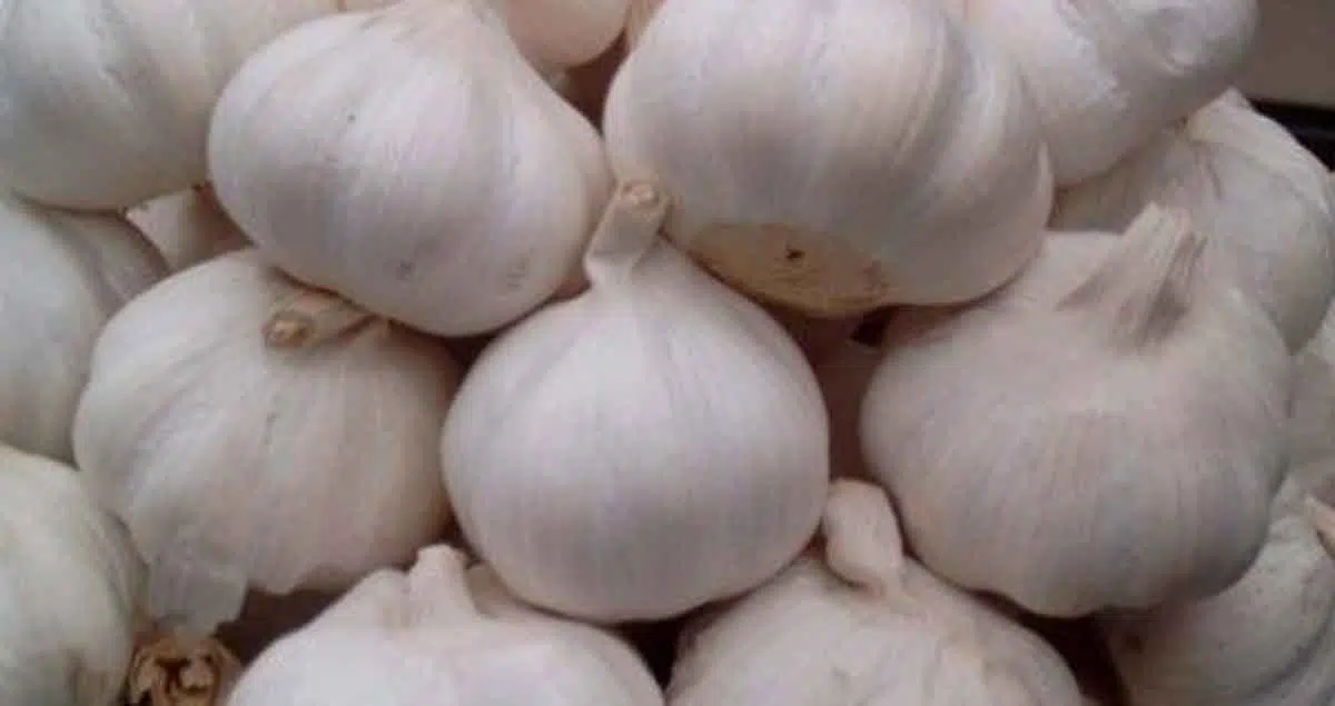 Tekan Harga, Pemerintah Buka Opsi Relaksasi Impor Bawang Putih