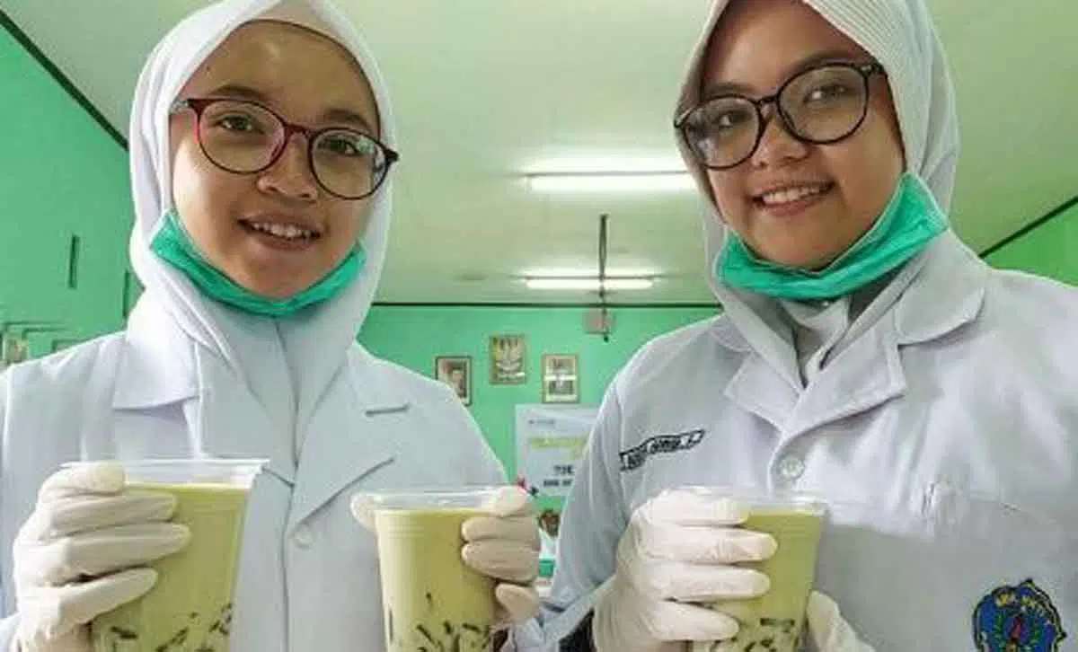 Daun Kelor Jadi Pangan Penangkal Virus Corona