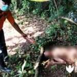 Identitas Mayat Pria Telanjang dan Membusuk, Polisi Sebut Warga Modung Bangkalan