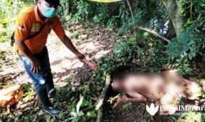 Identitas Mayat Pria Telanjang dan Membusuk, Polisi Sebut Warga Modung Bangkalan