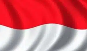 Indonesia Siapkan Insentif Sektor Migas di Tengah Covid-19